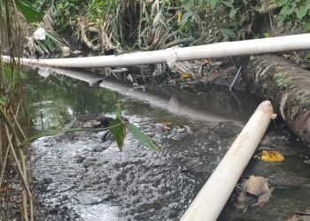 Pemerintah Kota Harus Tegas Terkait Limbah PT. Global Sawit Semesta Mencemari Lingkungan Lokasi Setempat