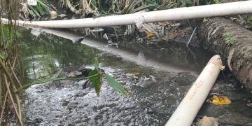 Pemerintah Kota Harus Tegas Terkait Limbah PT. Global Sawit Semesta Mencemari Lingkungan Lokasi Setempat