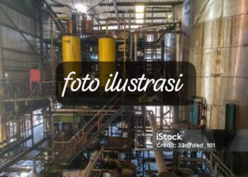 Diduga PT. MSB Kecamatan sultan Daulat Beroperasi Tanpa Izin Lengkap, Kepala Dinas Terkait Dikritik