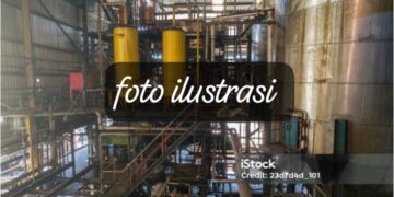 Diduga PT. MSB Kecamatan sultan Daulat Beroperasi Tanpa Izin Lengkap, Kepala Dinas Terkait Dikritik