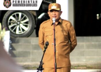 Pemberhentian Tenaga Non-ASN Di Lingkungan Pemerintah Kabupaten Gayo Lues