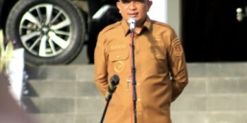 Pemberhentian Tenaga Non-ASN Di Lingkungan Pemerintah Kabupaten Gayo Lues