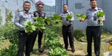 Pemanenan Tahap Ke-4 Hasil Dari Program Ketahanan Pangan WBP Rutan Takengon