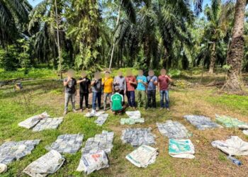 Bea Cukai dan Polri Berhasil Amankan 188 Kilogram Narkotika di Aceh Tamiang