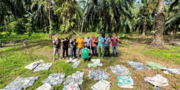 Bea Cukai dan Polri Berhasil Amankan 188 Kilogram Narkotika di Aceh Tamiang