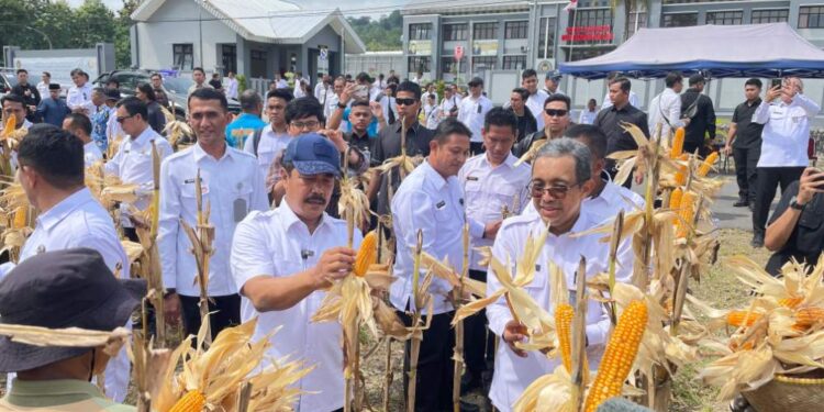 Nusakambangan Panen Perdana, Bangun Lumbung Ketahanan Pangan Dan Beri Kesempatan Warga Binaan