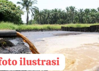 DLHK Subulussalam Bungkam Enggan Memberikan Klarifikasi Dugaan Limbah PT. MSB II