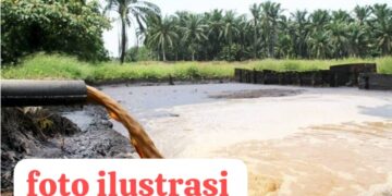 DLHK Subulussalam Bungkam Enggan Memberikan Klarifikasi Dugaan Limbah PT. MSB II