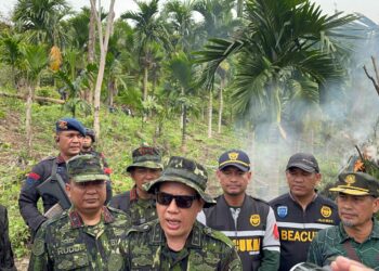 Bukti Komitmen Perangi Narkotika, BNN dan Bea Cukai Musnahkan 12 Ton Ganja