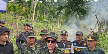 Bukti Komitmen Perangi Narkotika, BNN dan Bea Cukai Musnahkan 12 Ton Ganja