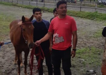 Pemilik Kuda : “Lagu Gere Ber Ine- Gere Ber Ama”(Anak Yang Tidak Dipedulikan)