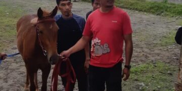 Pemilik Kuda : “Lagu Gere Ber Ine- Gere Ber Ama”(Anak Yang Tidak Dipedulikan)