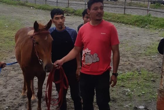 Pemilik Kuda : “Lagu Gere Ber Ine- Gere Ber Ama”(Anak Yang Tidak Dipedulikan)