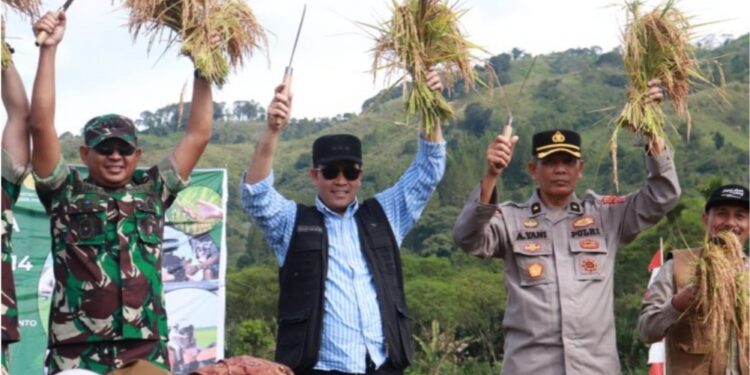 Bupati Haili Yoga Panen Raya Padi Serentak 14 Provinsi Secara Virtual Bersama Presiden Prabowo