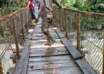 Jembatan Penghubung Dua Kabupaten Di Bintang Pepara Rusak Parah, Warga Minta Perhatian