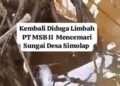 Dugaan Limbah PT MSB II Mencemari Sungai Lae Rikit Hingga Ke Sungai Simolap, Banyak Ikan Mati