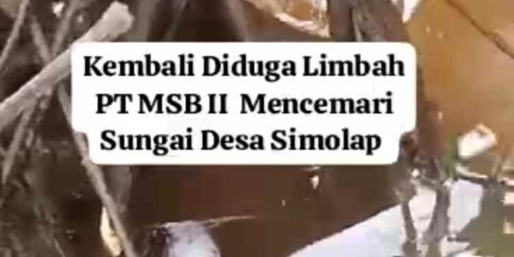 Dugaan Limbah PT MSB II Mencemari Sungai Lae Rikit Hingga Ke Sungai Simolap, Banyak Ikan Mati