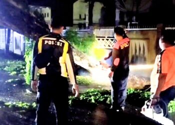 Dalam Hujan Tim Pusdalops BPBD Langsa Evakuasi Pohon Tumbang 