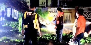 Dalam Hujan Tim Pusdalops BPBD Langsa Evakuasi Pohon Tumbang 