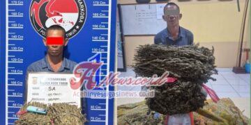 Ganja 1.6 Kg Diamankan Satresnarkoba Polres Aceh Timur