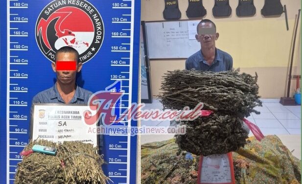 Ganja 1.6 Kg Diamankan Satresnarkoba Polres Aceh Timur