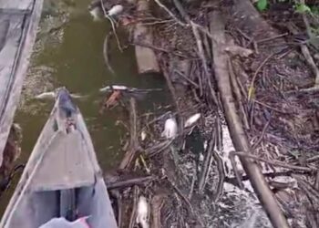 Siapa Dibalik PT MSB II? Misteri Di Balik Perusahaan Yang Berani Melawan Hukum