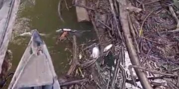 Siapa Dibalik PT MSB II? Misteri Di Balik Perusahaan Yang Berani Melawan Hukum