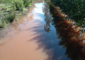 Saluran Irigasi Di Dusun Lamkuta Perlu Digali Lebih Dalam