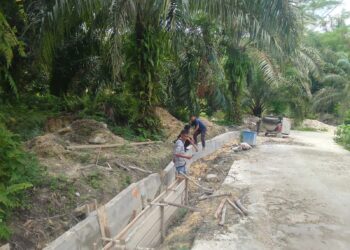 Inspektorat Dan Dinas Terkait Diminta Turun Kelapangan Untuk Menginvestigasi Kegiatan Kepala Desa Bukit Alim