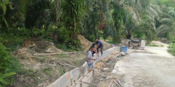 Inspektorat Dan Dinas Terkait Diminta Turun Kelapangan Untuk Menginvestigasi Kegiatan Kepala Desa Bukit Alim