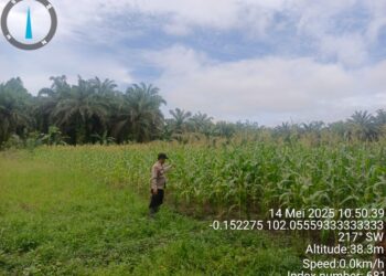 Bhabinkamtibmas Sambangi Kebun Warga, Dukung Program Bergizi dari Presiden RI