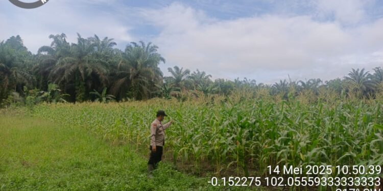 Bhabinkamtibmas Sambangi Kebun Warga, Dukung Program Bergizi dari Presiden RI