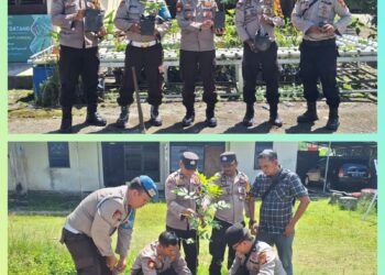 Polisi Tanam Bibit Pohon Kalengkeng Dukung Program Penghijauan Polda Riau