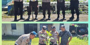 Polisi Tanam Bibit Pohon Kalengkeng Dukung Program Penghijauan Polda Riau
