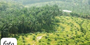 Masyarakat Kecewa Permasalahan PT Laot Bangko Belum Tuntas Setelah Bertahun-Tahun