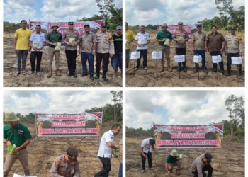 Dukung Program Asta Cita Presiden RI, Polsek Langgam Ikut Tanam Bibit Jagung di Lahan Monokultur PT. MUP