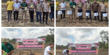 Dukung Program Asta Cita Presiden RI, Polsek Langgam Ikut Tanam Bibit Jagung di Lahan Monokultur PT. MUP