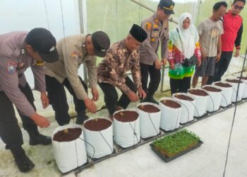 Kapolsek Pangkalan Lesung Hadiri Penanaman dan Penyerahan Bibit Melon untuk Petani Lokal