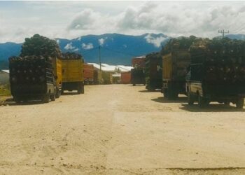 PKS MSB II Abaikan Himbauan Pemerintah Kota Subulussalam, Tetap Beroperasi Tanpa Izin Lengkap