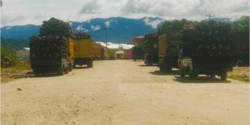 PKS MSB II Abaikan Himbauan Pemerintah Kota Subulussalam, Tetap Beroperasi Tanpa Izin Lengkap