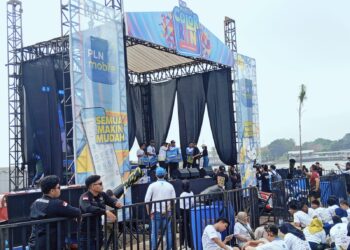Walikota Palembang hadiri PLN Mobile Color Run Tahun 2025 Palembang