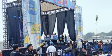 Walikota Palembang hadiri PLN Mobile Color Run Tahun 2025 Palembang