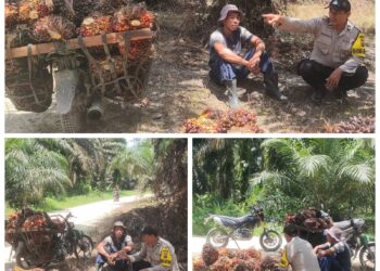 Bhabinkamtibmas Desa Sotol Ajak Warga Perangi Narkoba dan Waspadai Bahaya Karhutla