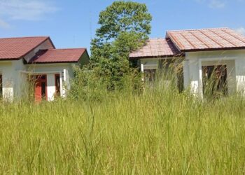 Tiga Bangunan Di Belakang Taman Subulussalam Terlantar dan Jadi Sarang Hantu