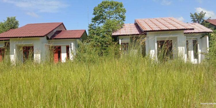 Tiga Bangunan Di Belakang Taman Subulussalam Terlantar dan Jadi Sarang Hantu