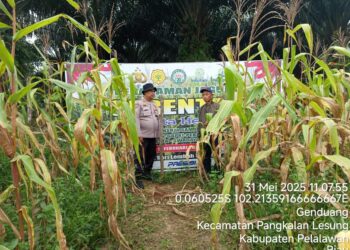 Dukung Program Asta Cita Presiden RI, Polsek Pangkalan Lesung Sambangi Kebun Bergizi Mandiri di Desa Genduang