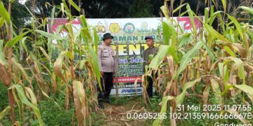 Dukung Program Asta Cita Presiden RI, Polsek Pangkalan Lesung Sambangi Kebun Bergizi Mandiri di Desa Genduang