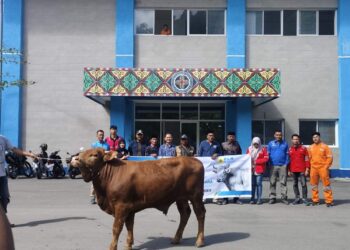 Jelang Idul Adha, Ketua Forum Kabupaten Bersama Ketua Forum Reje Silhnara Terima Seekor Sapi Dari PLTA