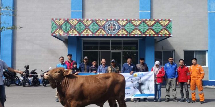 Jelang Idul Adha, Ketua Forum Kabupaten Bersama Ketua Forum Reje Silhnara Terima Seekor Sapi Dari PLTA