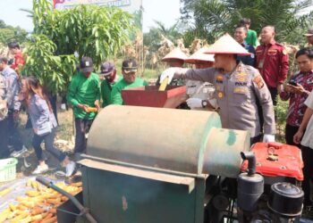 Bupati Askolani Heran, Panen Jagung Polres Banyuasin Subur Dan Besar Semua